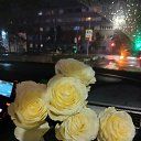 ���� ���, �����, 51 ��� - ��������� 25 ������ 2026 � ������ ������ ��������