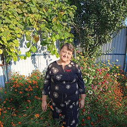 ������, ������, 56 ���