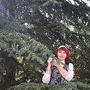 ���� ������, �����������, 41 ��� - ��������� 15 ������ 2025 � ������ ���� ����������