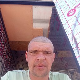 , 38, 