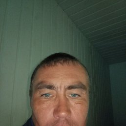 , 41,  