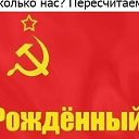 ���� ������, �����, 42 ���� - ��������� 15 ������� 2023