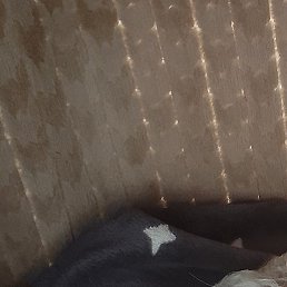 ������, �����������, 52 ����