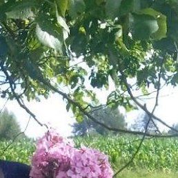 �����, �������, 39 ���