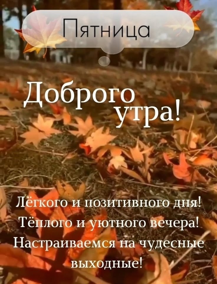   ,    . - 18  2025  23:31