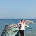 ���� ��������, ������, 84 ���� - ��������� 29 ������� 2025 � ������ ���� ����������