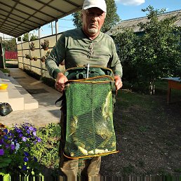 ���� �������, ��������, 74 ���� - ��������� 17 ������ 2023