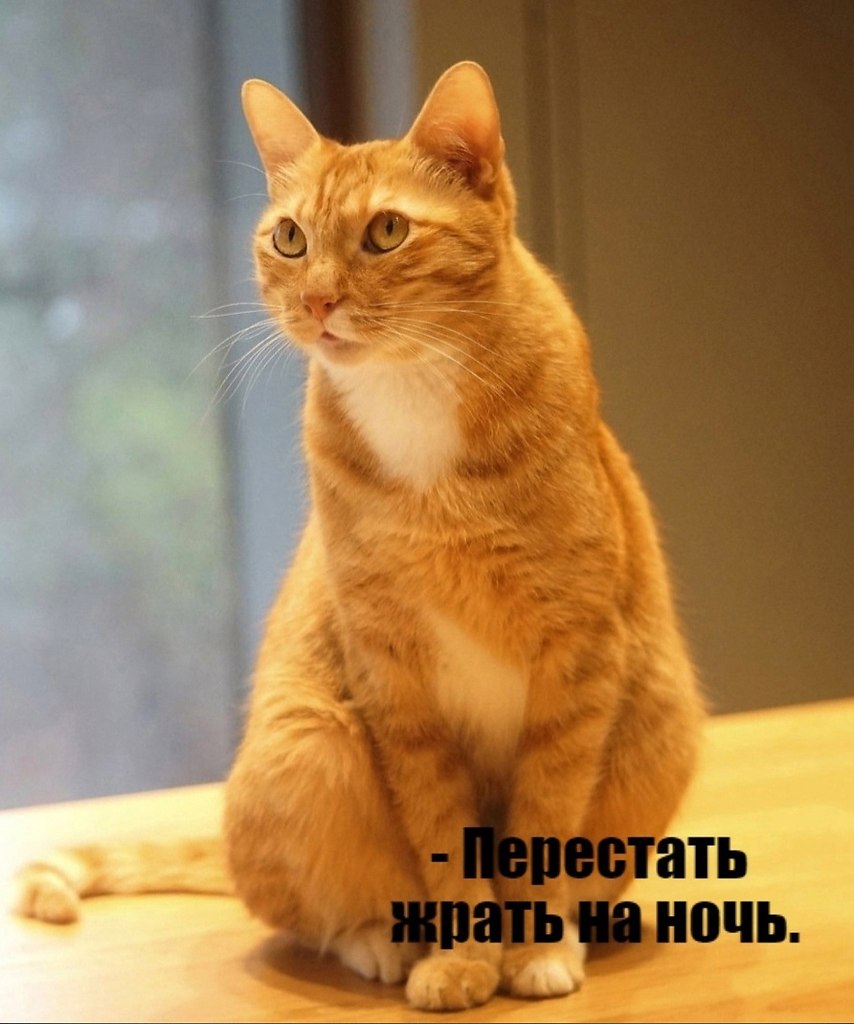       - 3  2025  18:04 - 2