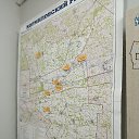 ���� �����, ���� - ��������� 17 ��� 2026 � ������ ������ ��������