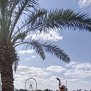 ���� �����, �����, 52 ���� - ��������� 28 ����� 2026 � ������ ������� 2026�