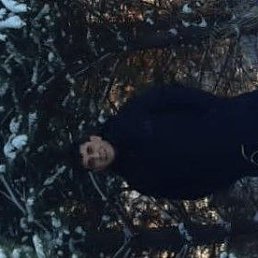 , 46, 
