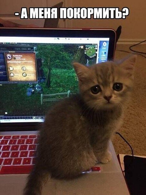 ? ,  ! - 18  2025  04:25