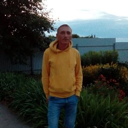 ����, 41 ���, ������