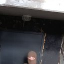 ���� ������, ������, 42 ���� - ��������� 20 ������� 2024 � ������ ���� ����������