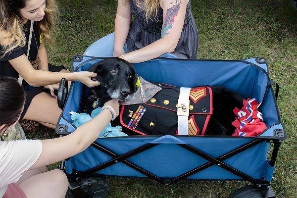  -  ,         -  ... - 3