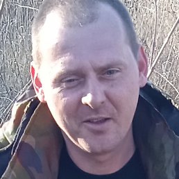 �������, �����, 39 ���