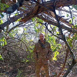 ����� �������, ������, 50 ���