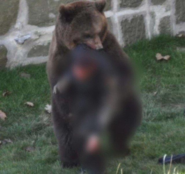 Прогулка по лесу закончилась трагедией. Компания друзей отправилась на природу недалеко от города. ...