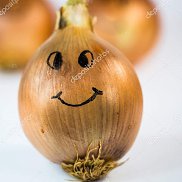 , 33 ,  