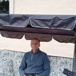 , 61, 