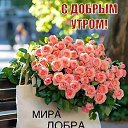 ���� �������, ���� - ��������� 8 ��� 2026 � ������ ������ ��������