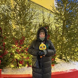 ���� ����, ������, 57 ��� - ��������� 10 ������ 2026