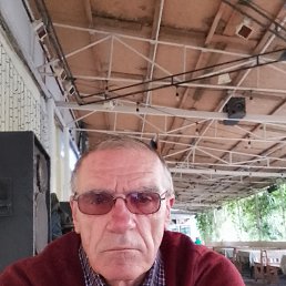 , 65, 