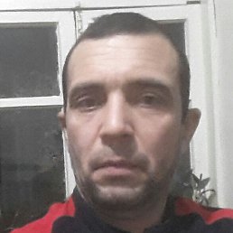  , , 44 