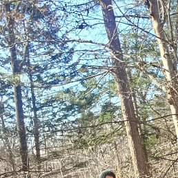 ������, ����, 28 ���