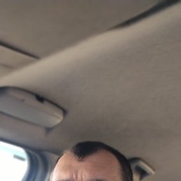 , 40, 