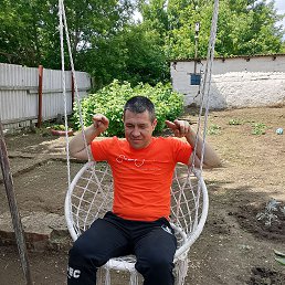 , 41, 