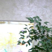 , , 