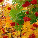 ���� Sweet, ������ - ��������� 5 ������ 2023 � ������ ������ ��������