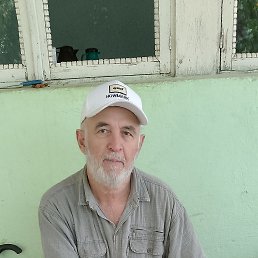 , 62, -