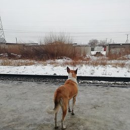 ������, ������, 47 ���