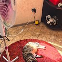 ���� ����, �������, 79 ��� - ��������� 13 ������ 2025 � ������ ������ ��������