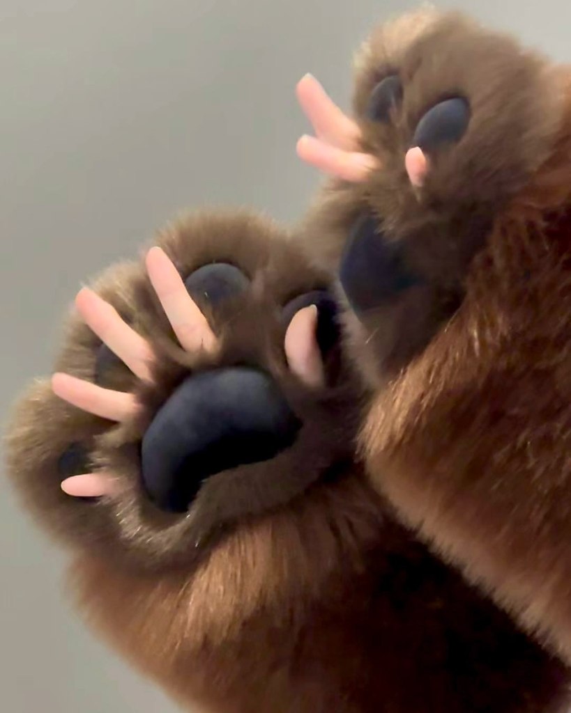    - 3