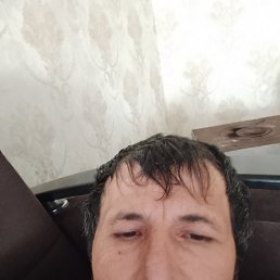 , 41, 