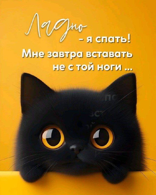   ,    . - 20  2025  21:44 - 4