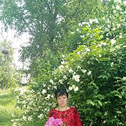  , 40 , 