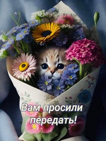 На восьмой день создал бог котов. Это был снова понедельник, день, когда работать не хочется, и вот ...