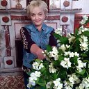 ���� **������**, ����� - ��������� 8 ������� 2025