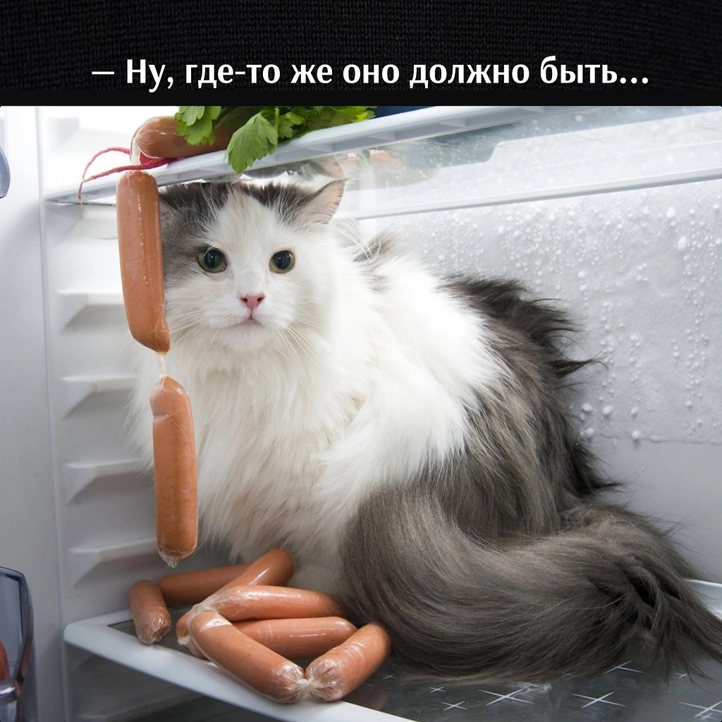 ��� ���� � ����� �� �� - 26 ������� 2026 � 22:00 - 4