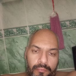 ����, 41 ���, �����