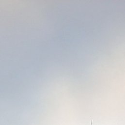 ��������., ������-��-����, 39 ���