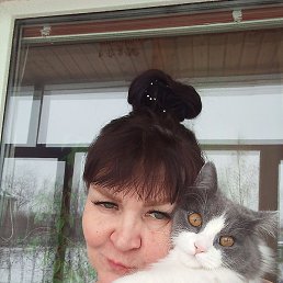 �����, ������, 60 ���