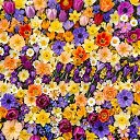 ���� ����� 🎗, ������ - ��������� 8 ����� 2026 � ������ ������ ��������