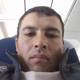 ��������, �����, 33 ����