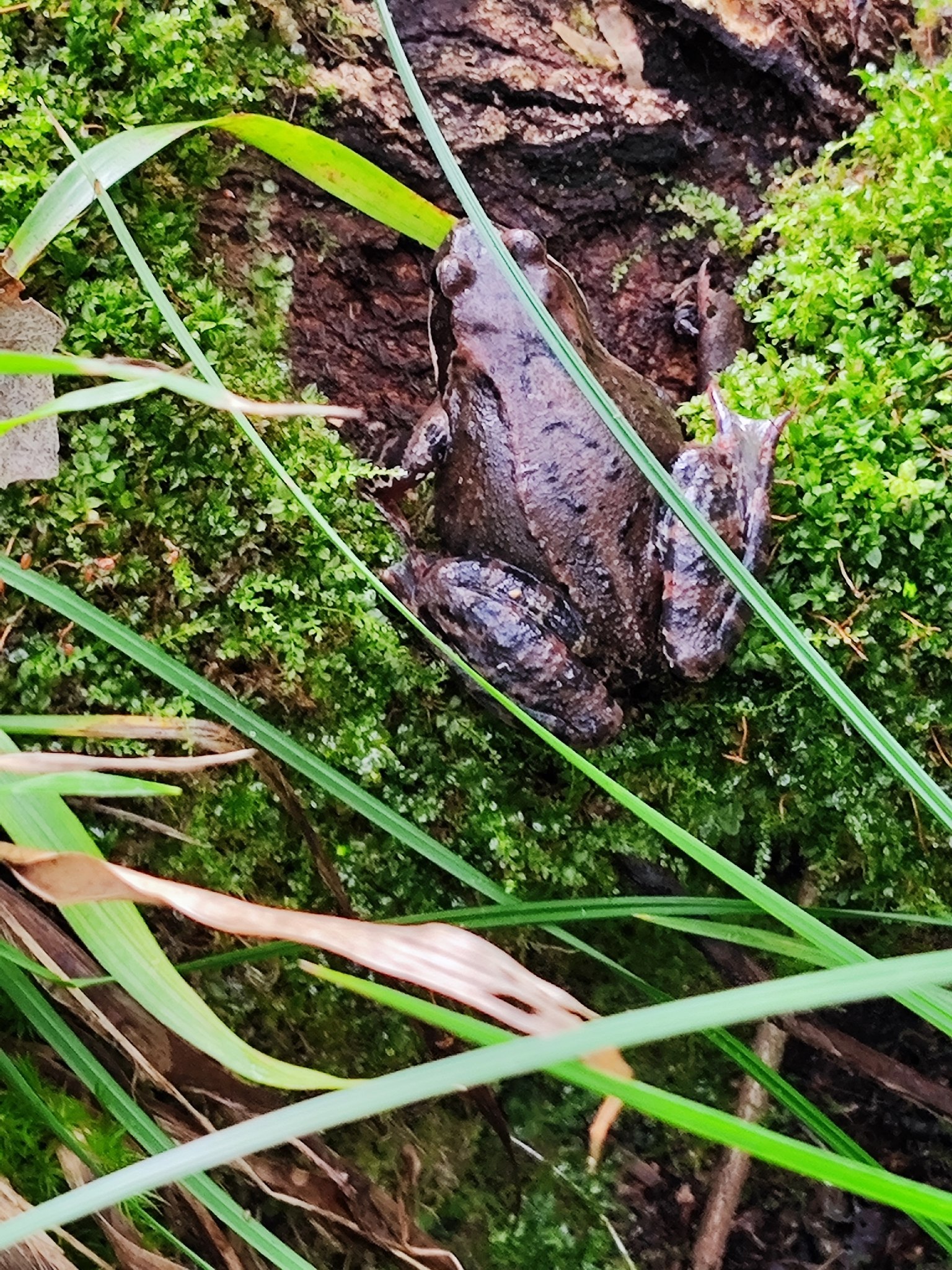   - 12  2025  16:15 - 3