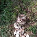 ���� ������, ������, 47 ��� - ��������� 22 ���� 2026